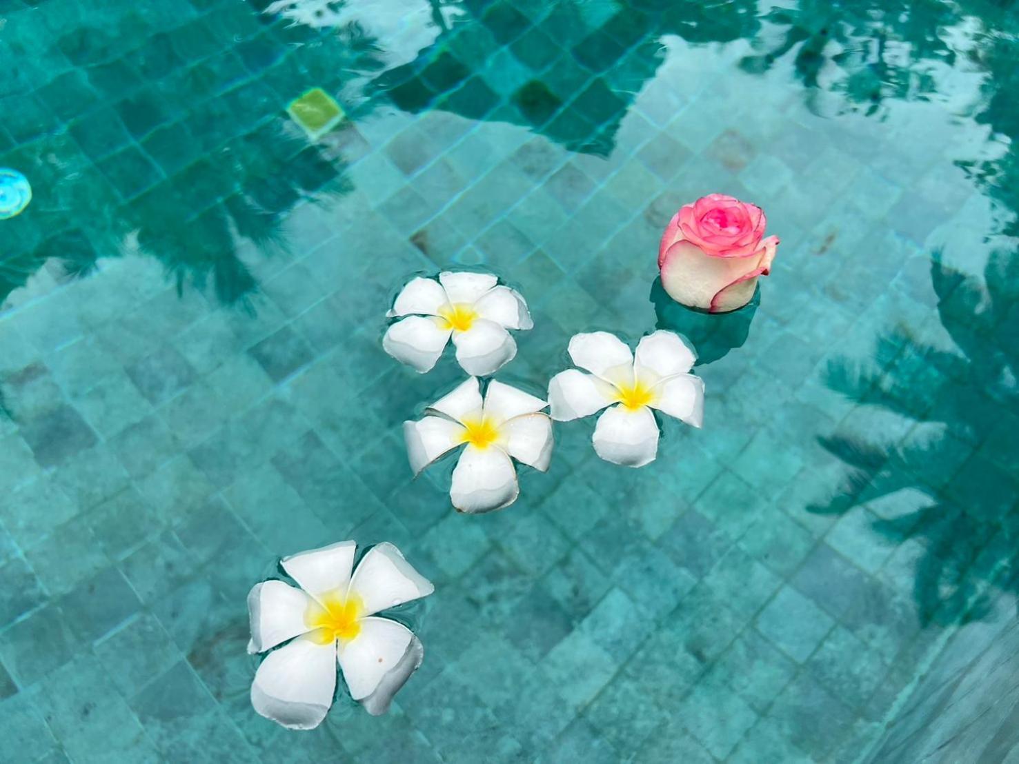 Chill Lay Resort Donsak Don Sak エクステリア 写真